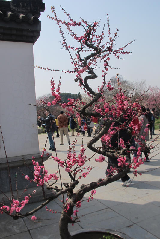 2013ͽ÷ 075.jpg