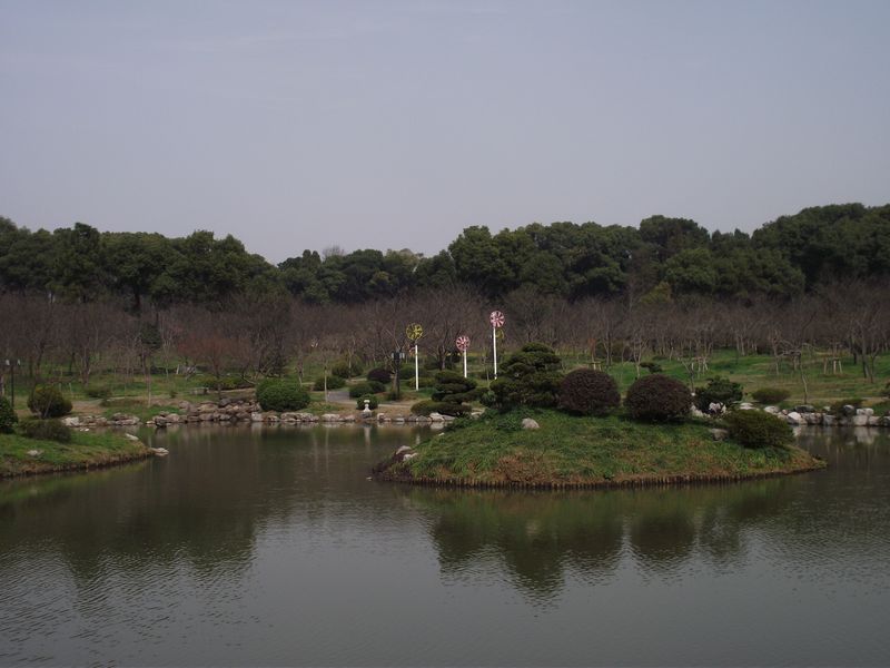 dscf8164.jpg