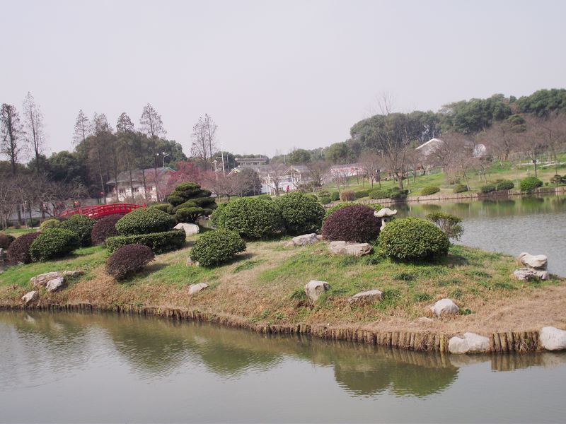 dscf8165.jpg