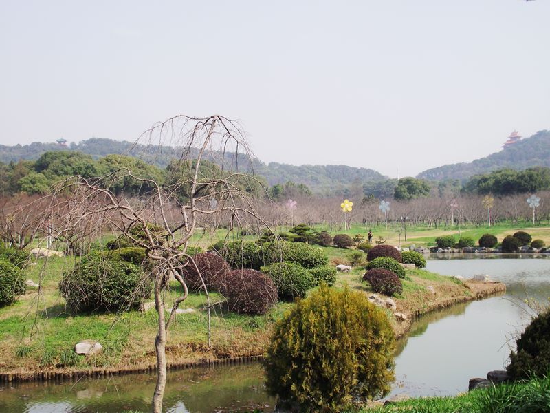 dscf8169.jpg