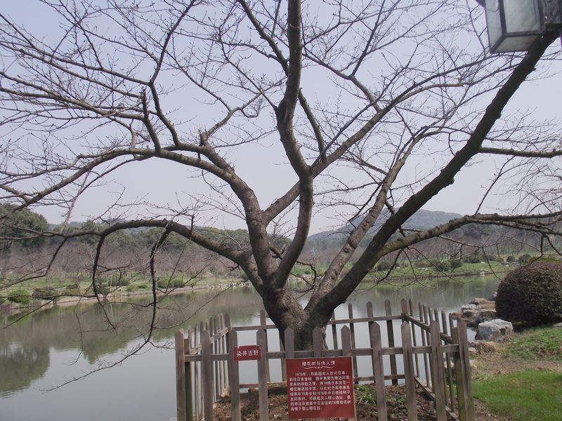 dscf8174.jpg