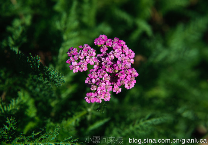 20133510291582266.jpg