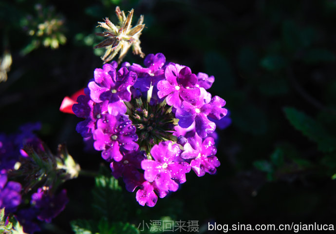 20133510291582266.jpg