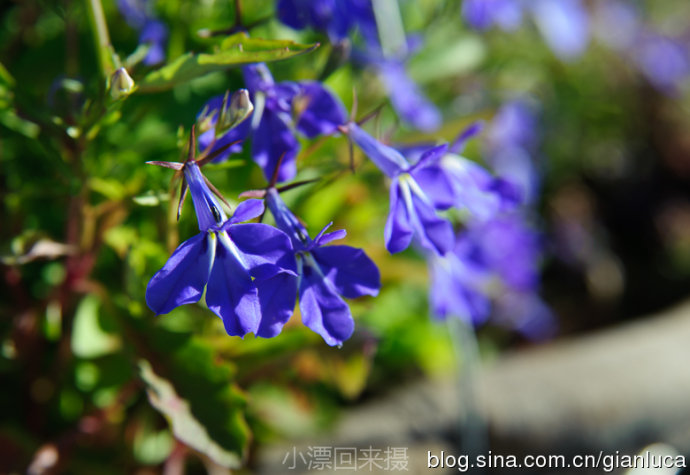 20133510291582266.jpg