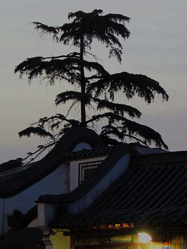 dscn3483_.jpg