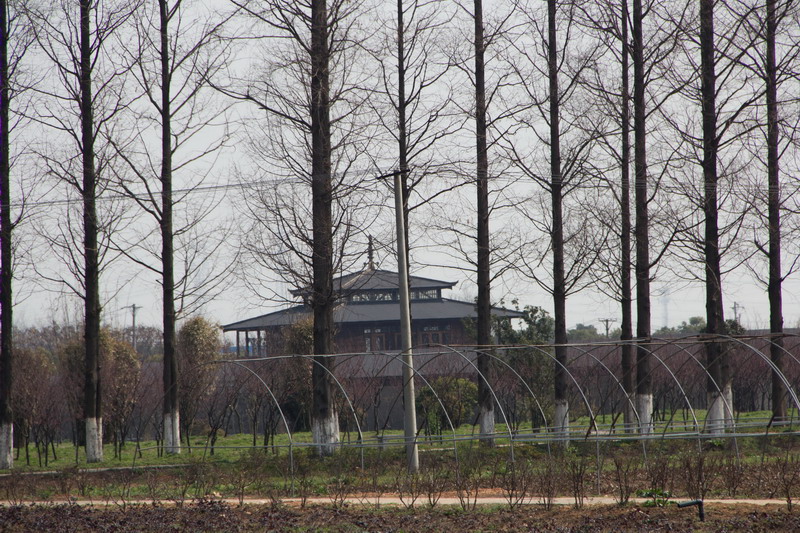 img_6891_СС.jpg