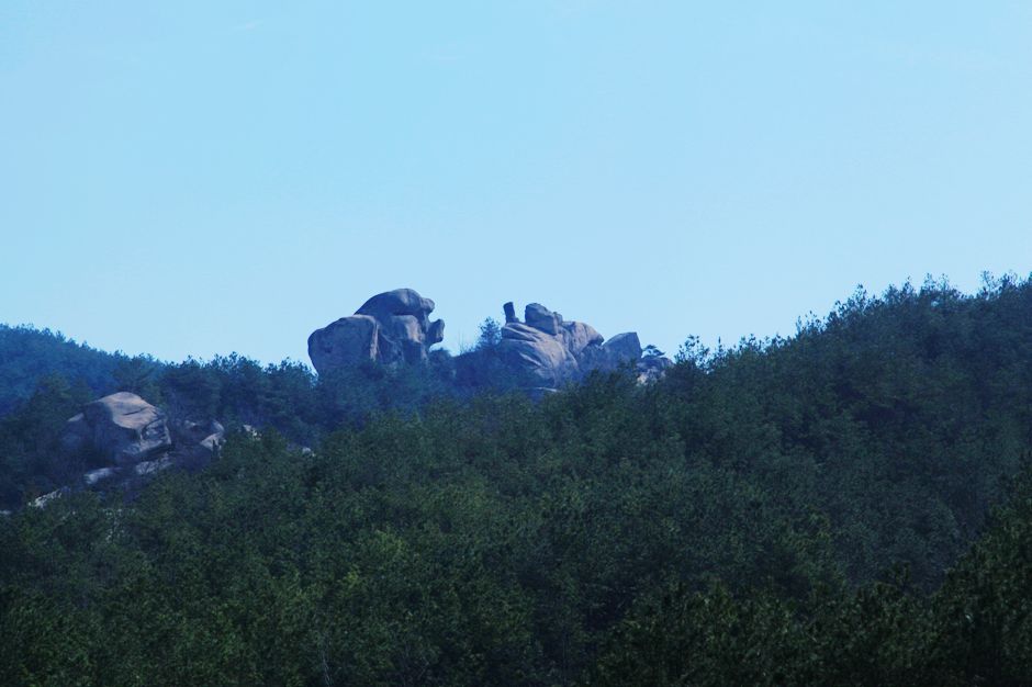 img_1116.jpg