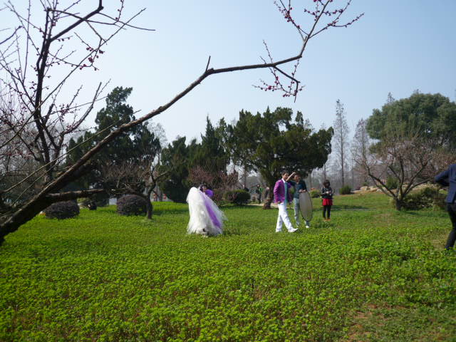 p1090739.jpg