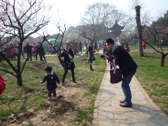 p1090700.jpg