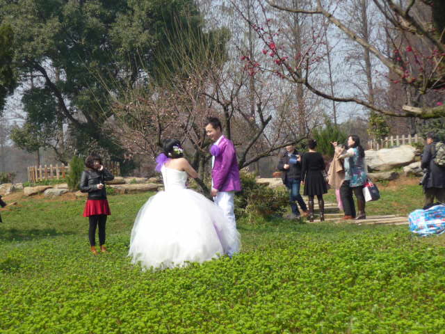 p1090742.jpg
