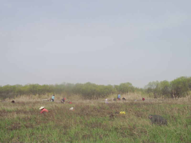 dscf8119.jpg