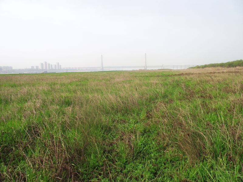 dscf8136.jpg