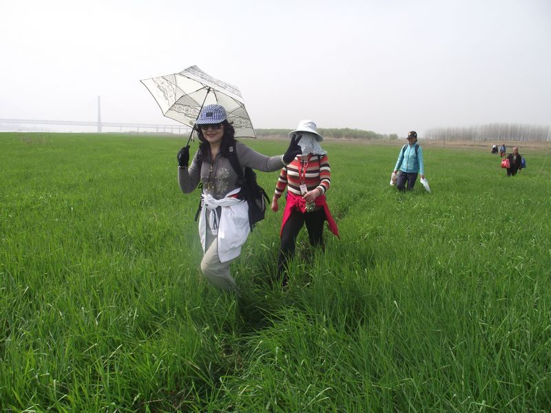 dscf8208.jpg