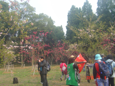 dsc01976.jpg