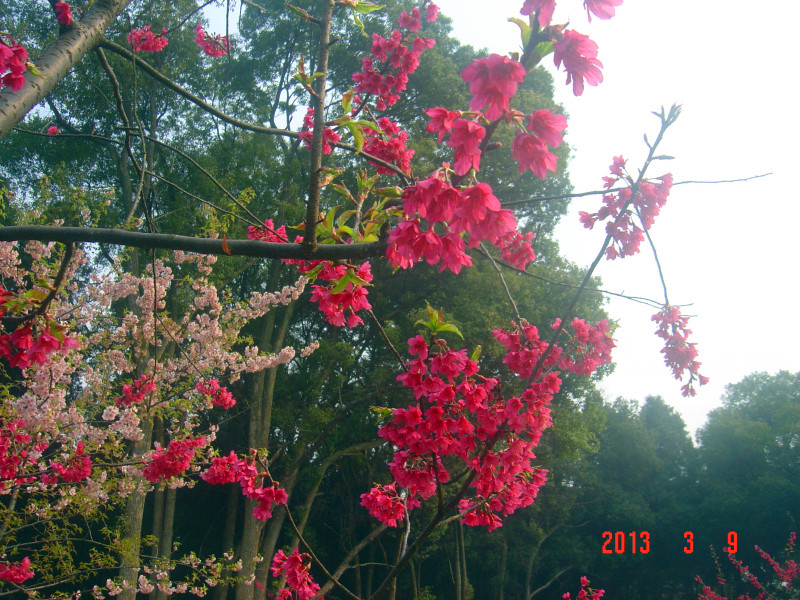 dsc01977_.jpg