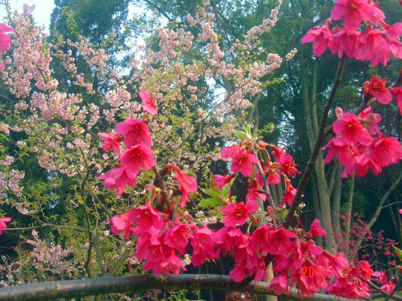 dsc01978_.jpg