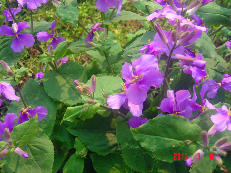 dsc01984_.jpg
