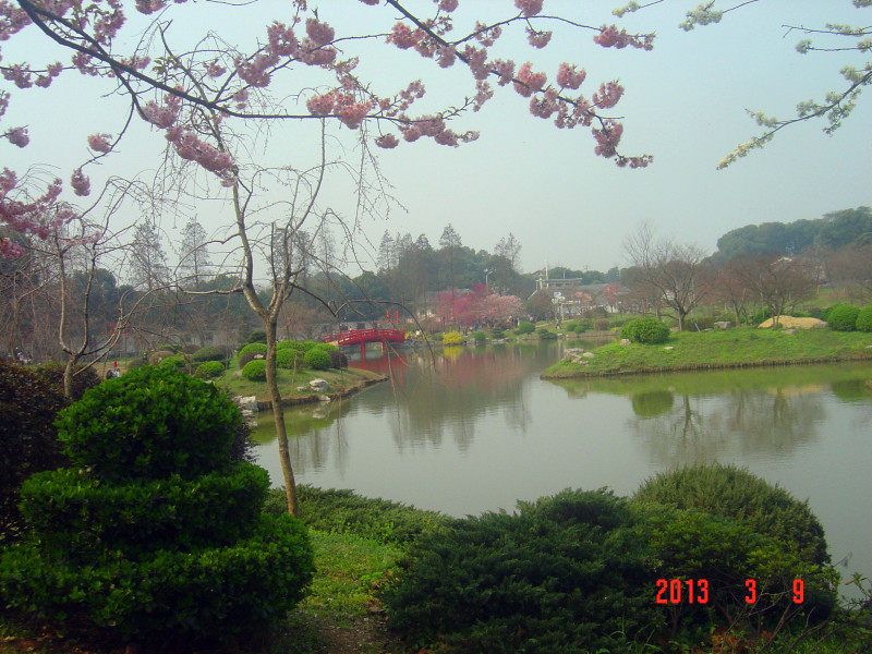 dsc02001_.jpg