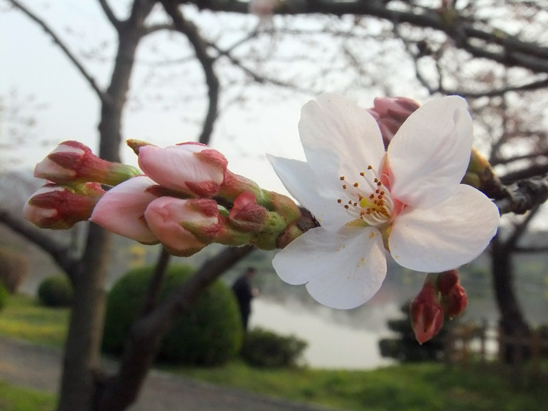 dscf9505_.jpg