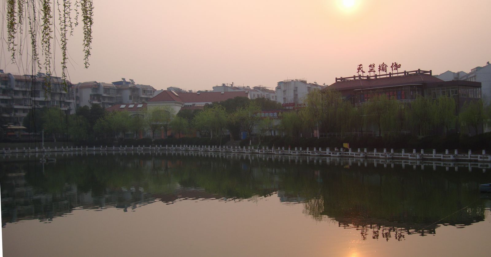 dsc08159.jpg
