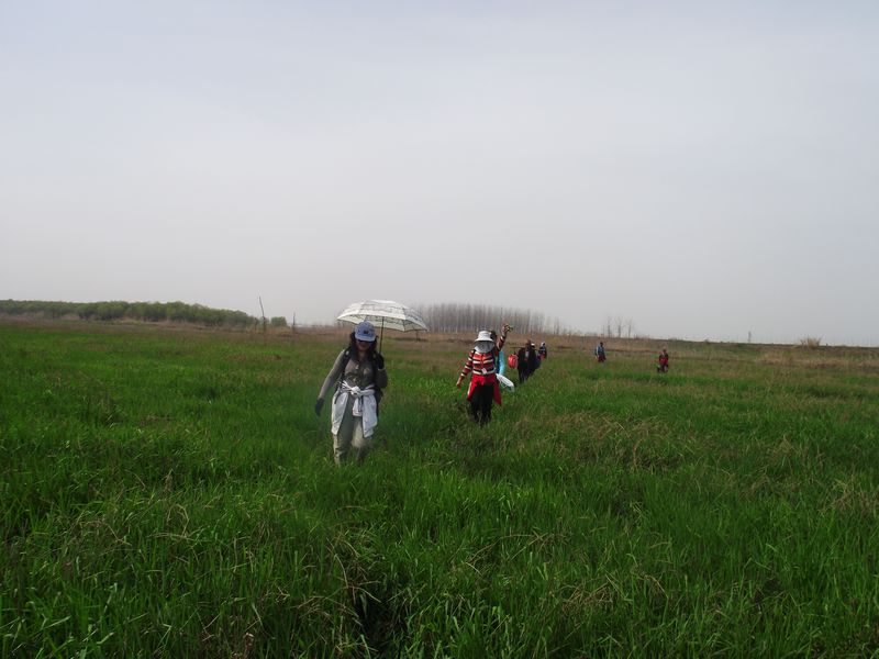 dscf8203.jpg