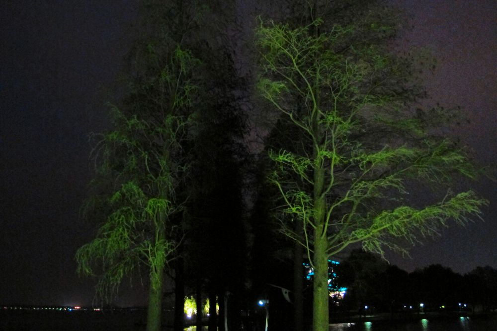 img_4708.jpg