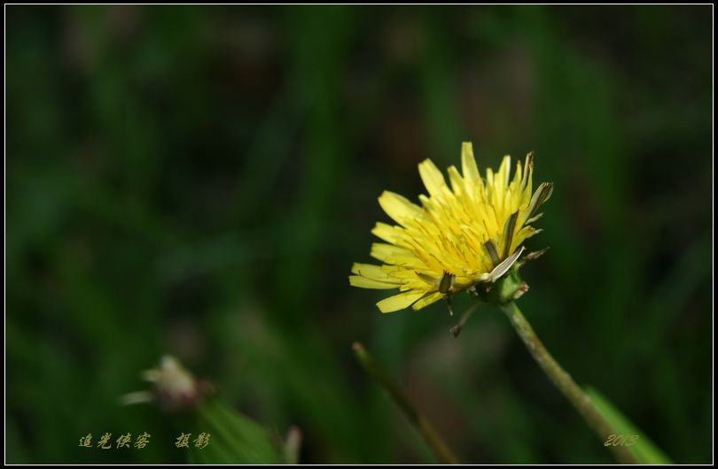 img_3480a.jpg