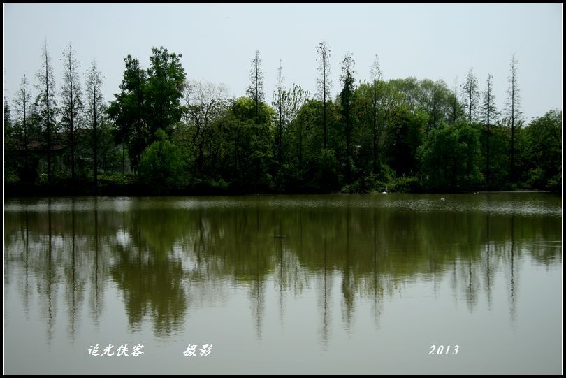 img_3508a.jpg
