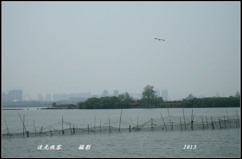 img_3565a.jpg