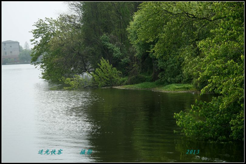 img_3703a.jpg