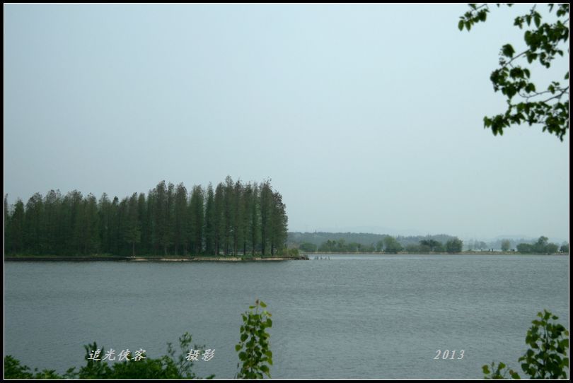 img_3706a.jpg