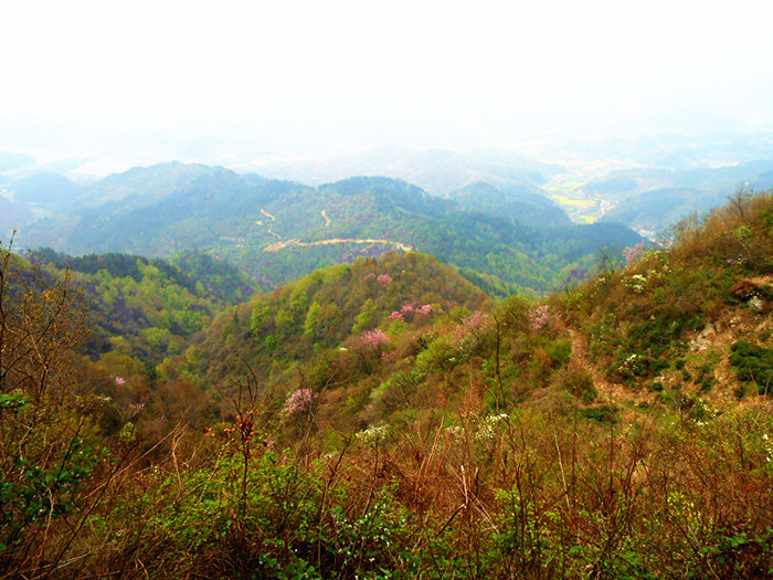 dscn0370.jpg