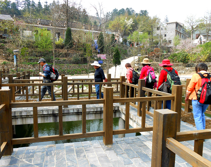 dscn0376.jpg