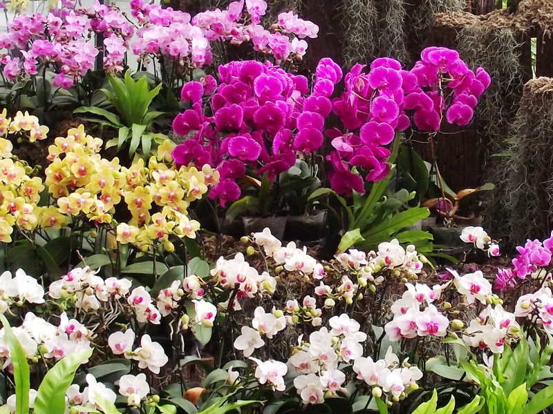 dscf8188.jpg
