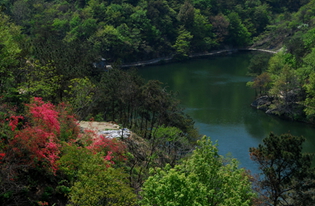 dsc_0198.jpg