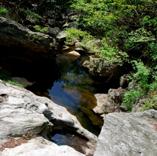 dsc_0158.jpg