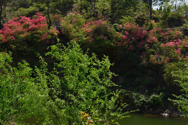 dsc_0173.jpg