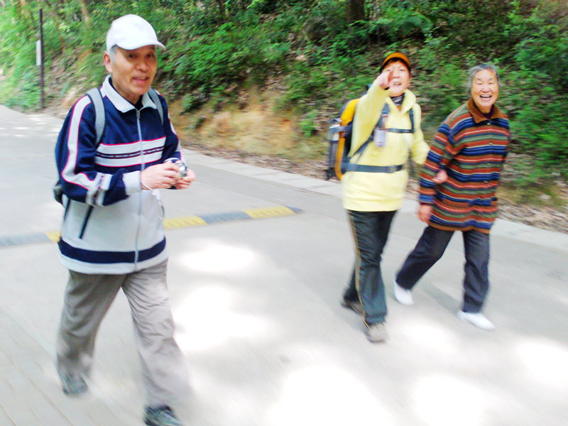 file0382.jpg