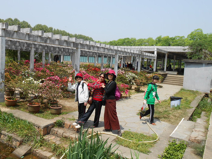 dscn0523.jpg