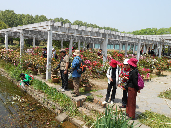 dscn0518.jpg