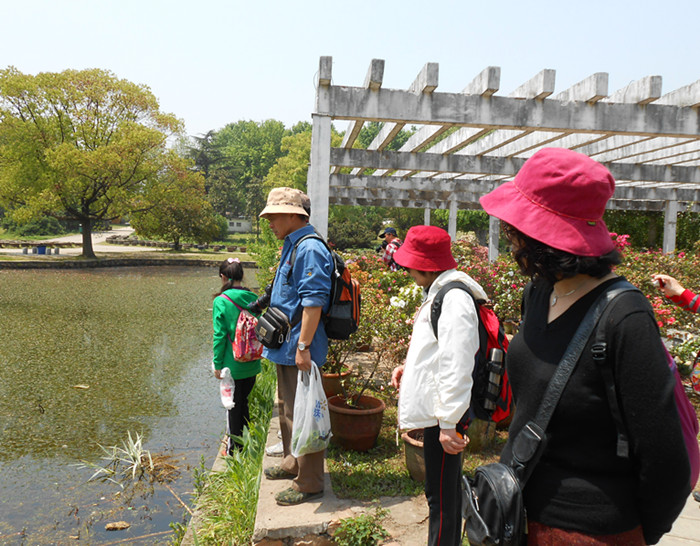 dscn0517.jpg