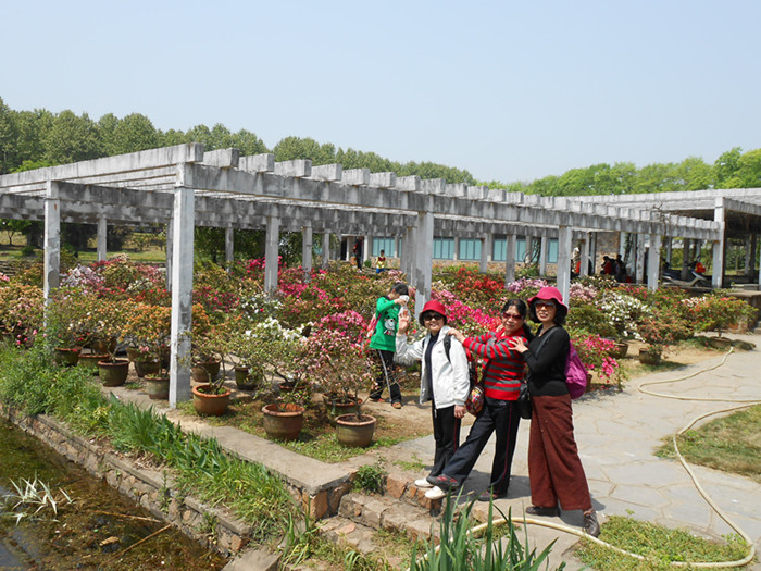 dscn0522.jpg