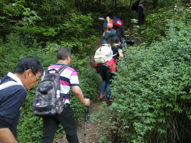 dscn8125.jpg