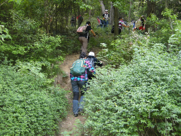 dscn8126.jpg