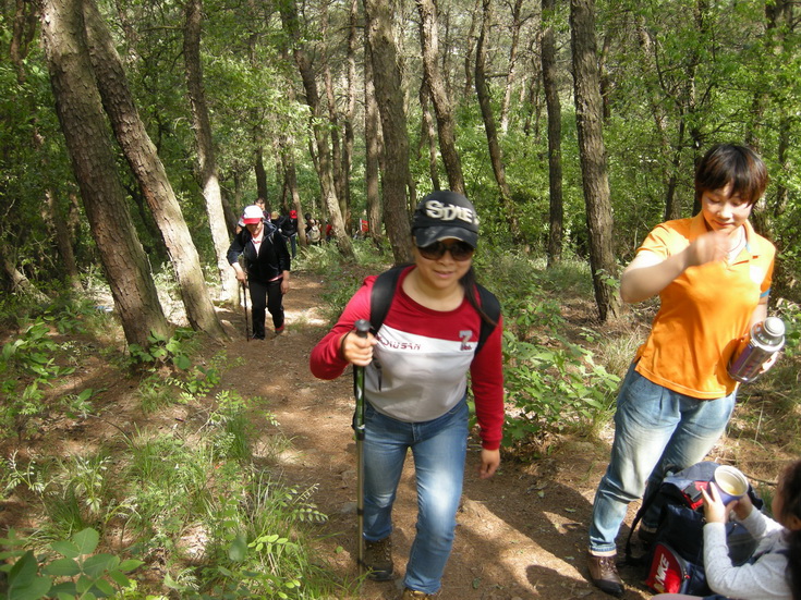 dscn8128.jpg