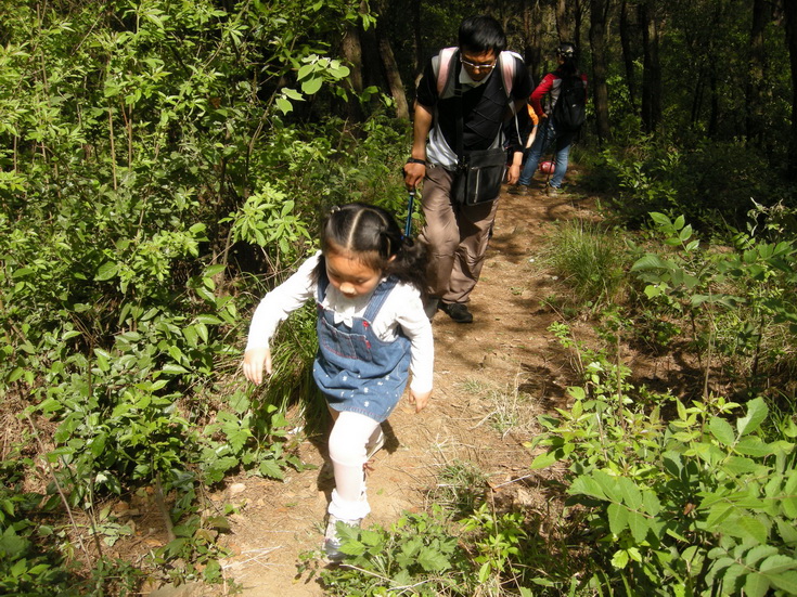 dscn8131.jpg