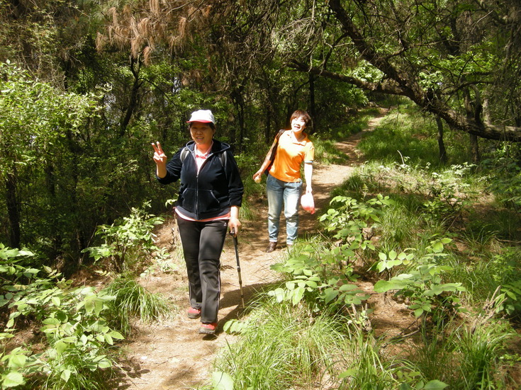 dscn8134.jpg