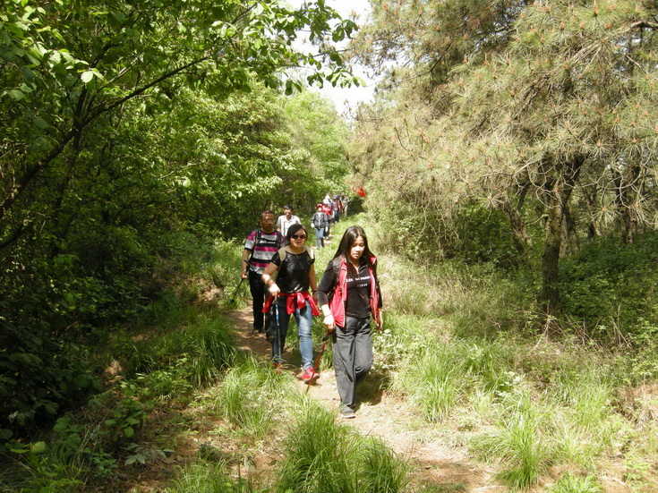 dscn8136.jpg