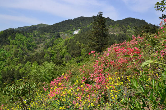 dsc_0172.jpg