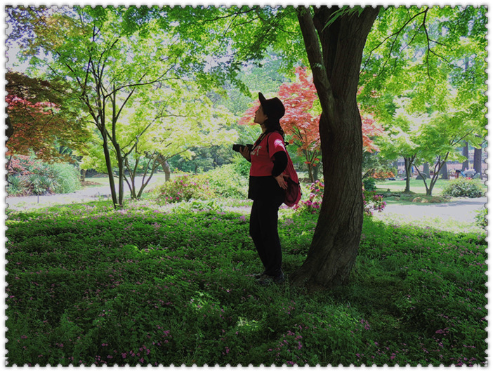 dscn4959_.jpg